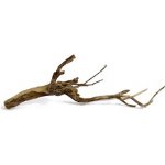 Macenauer kořen Talawa Wood 1 kg – Zboží Dáma