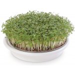 Eschenfelder Miska na klíčení obilovin 16 cm bílá – Zboží Dáma