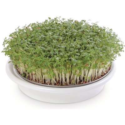 Eschenfelder Miska na klíčení obilovin 16 cm bílá – Zboží Dáma