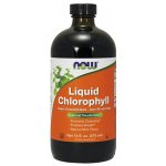Now Foods Liquid Chlorophyll & Mint tekutý chlorofyl 473 ml – Sleviste.cz