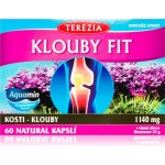 Terezia Company Klouby fit 60 kapslí – Hledejceny.cz