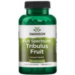 Swanson Full-Spectrum Tribulus Fruit 90 kapslí 500 mg – Hledejceny.cz