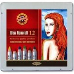 Koh-i-Noor 8282 12 ks – Zbozi.Blesk.cz