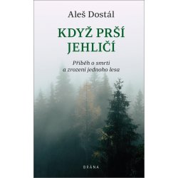 Když prší jehličí - Dostál Aleš