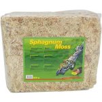 Lucky Reptile Sphagnum Moss rašeliník 500 g – Zboží Mobilmania