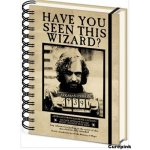 CurePink 3D proměňovací A5 blok-zápisník Harry Potter: Sirius & Harry 14,8 x 21 cm kroužková vazba SR72657 – Zboží Živě