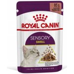 Royal Canin Sensory Smell gravy 12 x 85 g – Hledejceny.cz