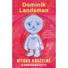 Kniha Híťovo kouzelné dobrodružství - Landsman Dominik