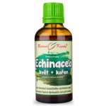 Bylinné kapky Echinacea třapatka kvetoucí nať + kořen bylinné kapky tinktura 50 ml – Hledejceny.cz
