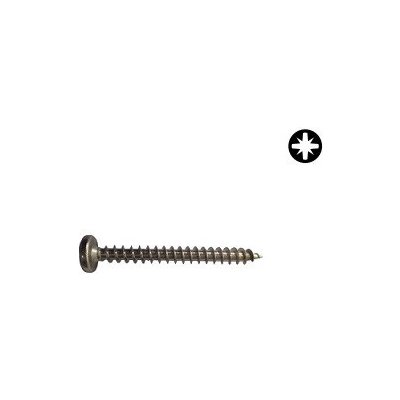 Uni Vrut 4x45 PH nerez A2 100ks – Hledejceny.cz