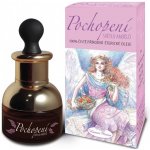 Hanna Maria Andělská aromaterapie POCHOPENÍ 20 ml – Hledejceny.cz