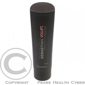 Sebastian Foundation Volupt Shampoo 250 ml