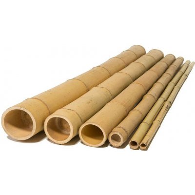 Bamboo Tyče průměr 8-10 cm, délka 80 cm – Sleviste.cz