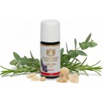 Maharishi Ayurveda Směs esenciálních olejů Kapha 10 ml – Hledejceny.cz