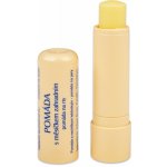 Regina pomáda s měsíčkem zahradním 3,1 g – Zboží Dáma