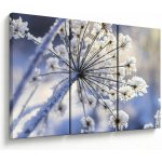 Obraz - Zmrzlý květ, třídílný 120x80 cm – Hledejceny.cz