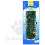 Tetra Hygrophila M 23 cm – Zboží Mobilmania