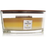 WoodWick Trilogy Fruits of Summer 453,6 g – Zbozi.Blesk.cz