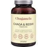 Chaganela Extrakt čagy s reishi 270 kapslí – Hledejceny.cz