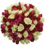 Kytice 100 míchaných růží WHITE GRACIANA 50 cm – Zboží Dáma