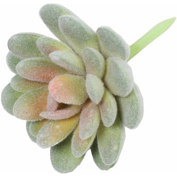 Umělý sukulent lotos Eševéria Elegans 9,5 cm