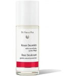 Dr. Hauschka Růžový roll-on 50 ml – Zboží Dáma
