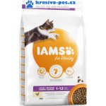 Iams ProActive Health Kitten 10 kg – Hledejceny.cz