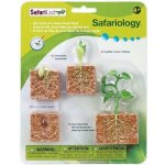 SAFARI Životní cyklus Zelená fazole – Zbozi.Blesk.cz