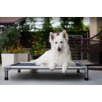 TrendPet Zdravotní lehátko KingBed – Sleviste.cz