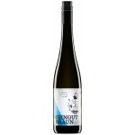Weingut Braun Ried Steinriegl Wachau Dac Ryzlink rýnský suché bílé 2020 13,5% 0,75 l (holá láhev) – Hledejceny.cz