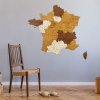 Nástěnné mapy Nástěnná dřevěná mapa Francie 95 x 94 cm