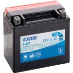 Exide YTX14L-BS, ETX14L-BS | Zboží Auto