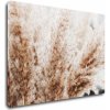 Obraz Impresi Obraz Suchá tráva skandinávský styl - 70 x 50 cm
