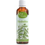 Serafin byliny Meduňka tinktura z bylin 50 ml – Hledejceny.cz