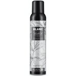 Black Blanc Volume Up Root Spray 300 ml – Hledejceny.cz