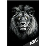 Desky na ABC Lev – Zboží Mobilmania