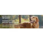 Frontline Tri-Act Spot-On Dog XL 40-60 kg 1 x 6 ml – Sleviste.cz