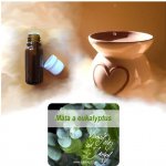 Od Janky Vonný olej Máta a eukalyptus 10 ml – Hledejceny.cz
