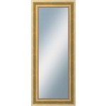 DANTIK KŘÍDLO 50 x 120 cm zlaté 2772 – Hledejceny.cz