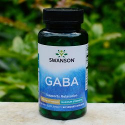 Swanson GABA Kyselina Gama Aminomáselná 750 mg 60 kapslí