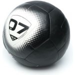 Escape Fitness Vertball 7 kg – Zbozi.Blesk.cz