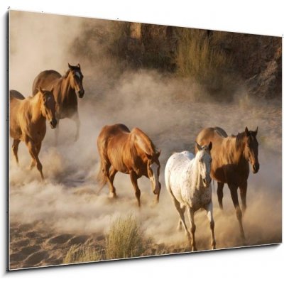 Obraz 1D - 100 x 70 cm - wild horses running divoké koně běží – Zboží Mobilmania
