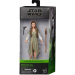 Hasbro Star Wars Episode VI 2022 Princess Leia Ewok Village Black Series – Hledejceny.cz