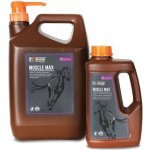 Foran Muscle Max 1 l – Hledejceny.cz
