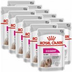 Royal Canin Exigent Dog Loaf 12 x 85 g – Sleviste.cz
