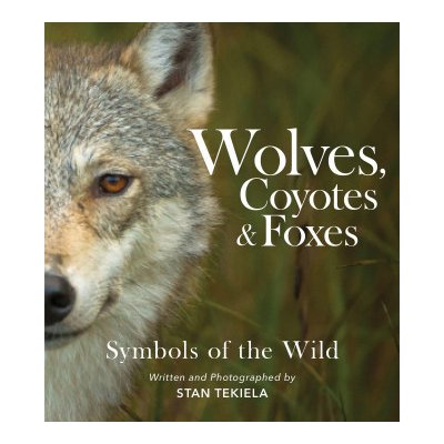 Wolves, Coyotes & Foxes