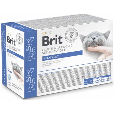 Brit Grain & Gluten Free VD Cat Pouch fillets in Gravy Recovery 12 x 85 g – Hledejceny.cz