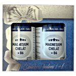Clinical Nutricosmetics Magnesium chelát Draslík B6 100+100 tablet – Hledejceny.cz
