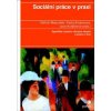 Elektronická kniha Sociální práce v praxi