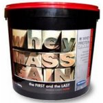 Megabol Whey Mass Gain 3000 g – Zboží Dáma